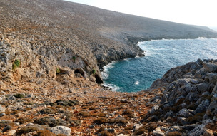 Drakontospilio