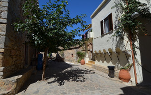 Olympi