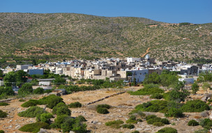 Olympi