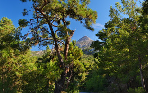 Mount Pelineon