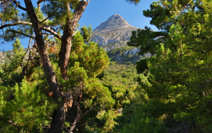 Mount Pelineon