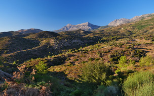Mount Pelineon