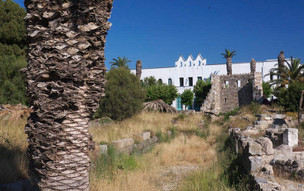 Agora