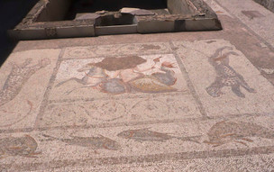 Casa Romana