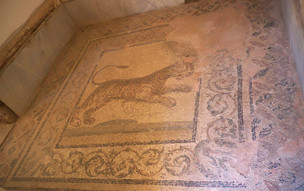 Casa Romana