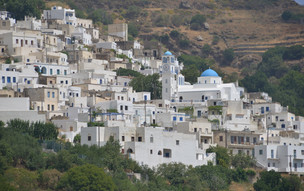 Koronida