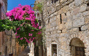 Mesta