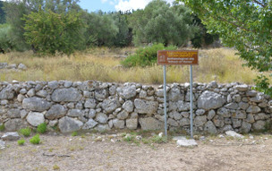 Homérova škola