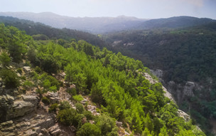 Ikaria