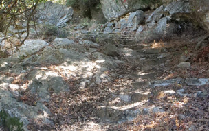Ikaria