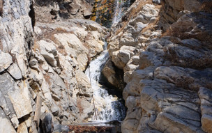 Ikaria