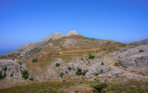 Ikaria