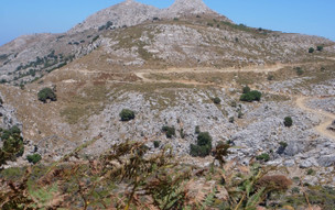 Ikaria