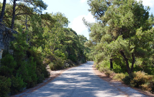 Ikaria