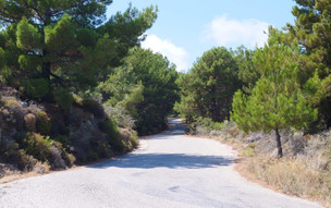 Ikaria