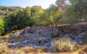Ikaria