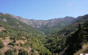 Ikaria
