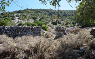 Ikaria