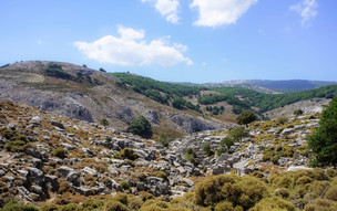Ikaria