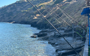 Karavostamo