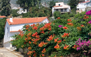 Agios Kirikos