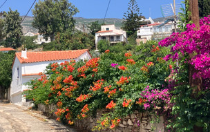 Agios Kirikos