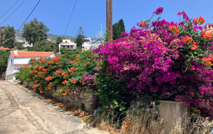 Agios Kirikos