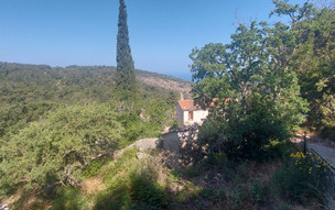 Klášter Theoktistis