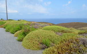 Limnos