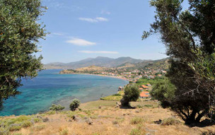 Anaxos