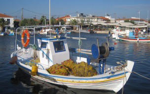 Skala Kallonis