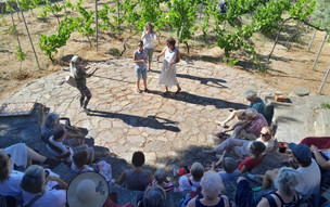 Wine tour s ochutnávkou vína