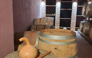 Wine tour s ochutnávkou vína
