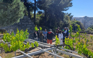 Wine tour s ochutnávkou vína