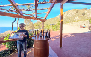 Wine tour s ochutnávkou vína