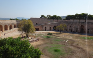 Pilos