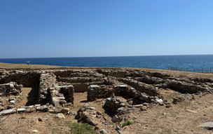 Archeologické nálezy Palamirious
