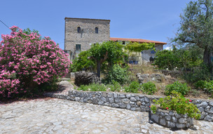 Kardamili