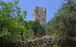 Kardamili