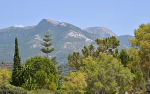 Kardamili