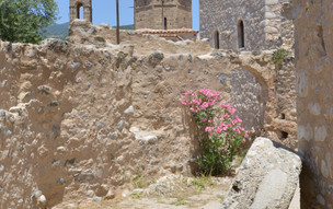 Kardamili