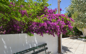 Kardamili