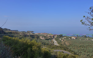 Kardamili