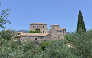 Kardamili