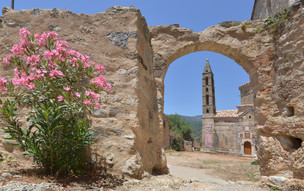 Kardamili