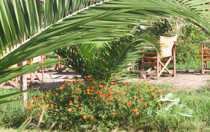 Chalkidiki - Sithonie