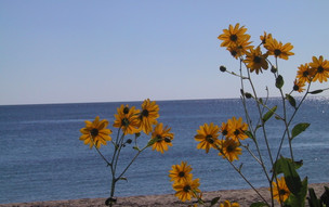 Chalkidiki