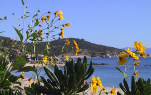 Chalkidiki