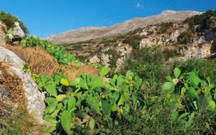 Amorgos