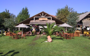 Sarti